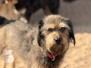 Hutabilder-26-03-w09-020