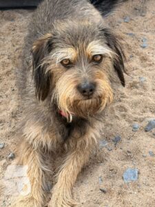 Hutabilder-26-03-w09-021