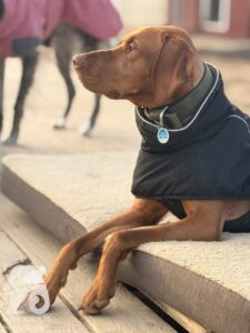 Hutabilder-26-03-w09-023