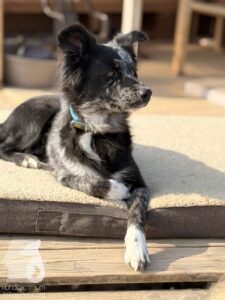 Hutabilder-26-03-w09-025