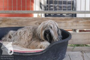 Hutabilder-26-03-w09-032