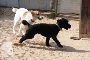 Hutabilder-26-03-w09-034