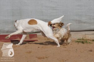 Hutabilder-26-03-w09-035