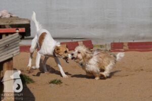 Hutabilder-26-03-w09-036