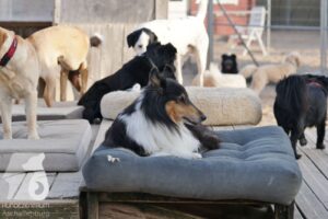 Hutabilder-26-03-w09-037