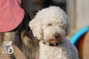 Hutabilder-26-03-w09-046