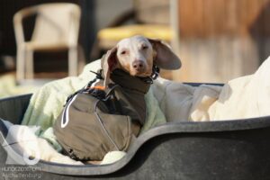 Hutabilder-26-03-w09-047