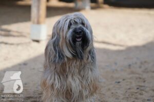 Hutabilder-26-03-w09-049