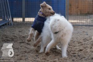 Hutabilder-26-03-w09-050