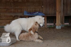 Hutabilder-26-03-w09-052