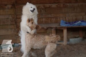 Hutabilder-26-03-w09-053