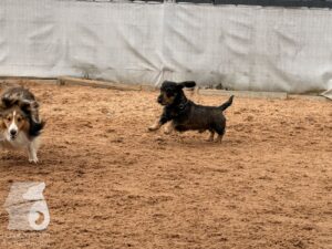Hutabilder-26-05-w01-029