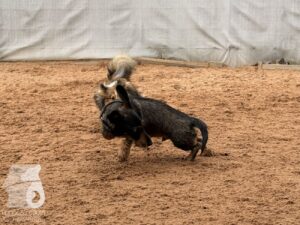Hutabilder-26-05-w01-031