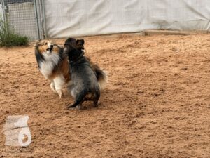 Hutabilder-26-05-w01-034
