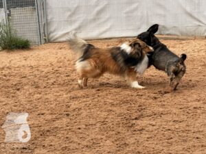 Hutabilder-26-05-w01-035