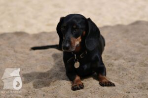 Hutabilder-26-07-001–030
