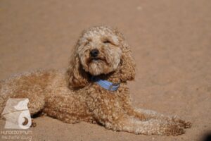 Hutabilder-26-07-001–058