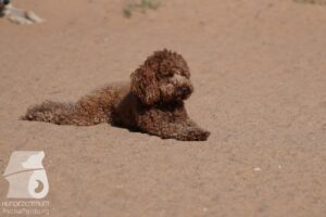 Hutabilder-26-07-001–059
