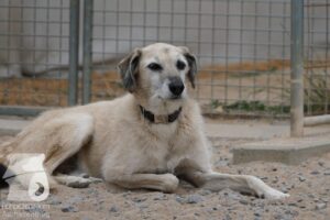 Hutabilder-26-07-001–074