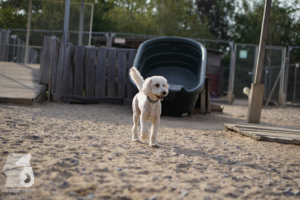 image054
