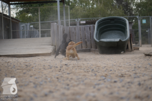 image089
