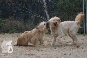 Hutabilder-10-01-067