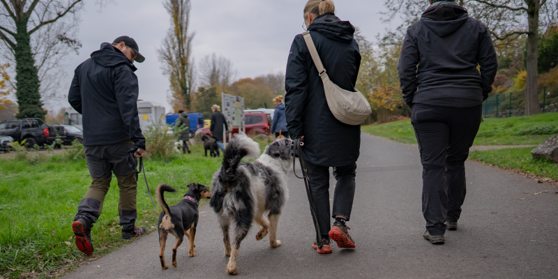 Der Weg zum Alltagsbegleiter