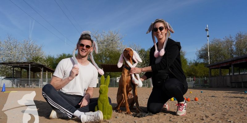Hundeclub