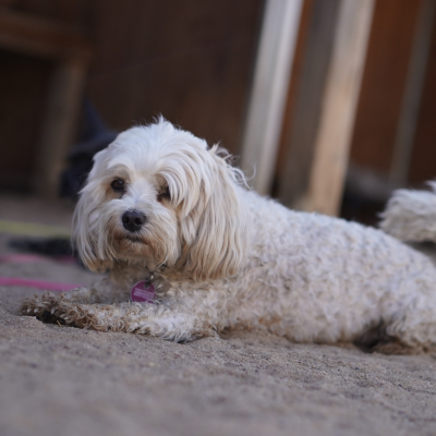 Hutabilder-08-10-011