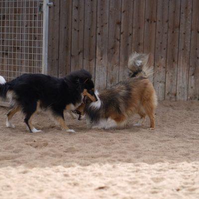 Hutabilder-09-01-008