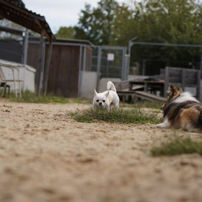 Hutabilder-09-01-009