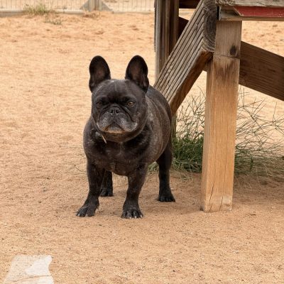 Hutabilder-09-01-022