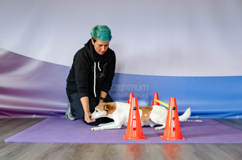 Physio-kriechen