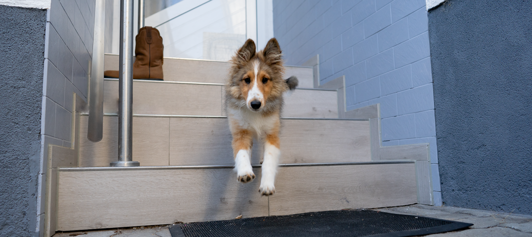 Treppe2