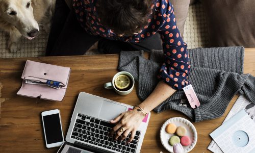 Woman Using Laptop Shopping Online and Petting Dog